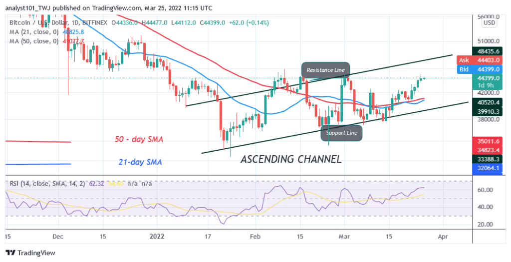 BTCUSDDAily-Chart-8-2