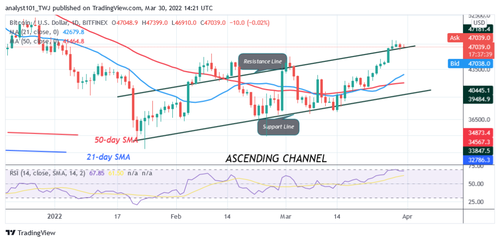 BTCUSDDaily-Chart-11-1