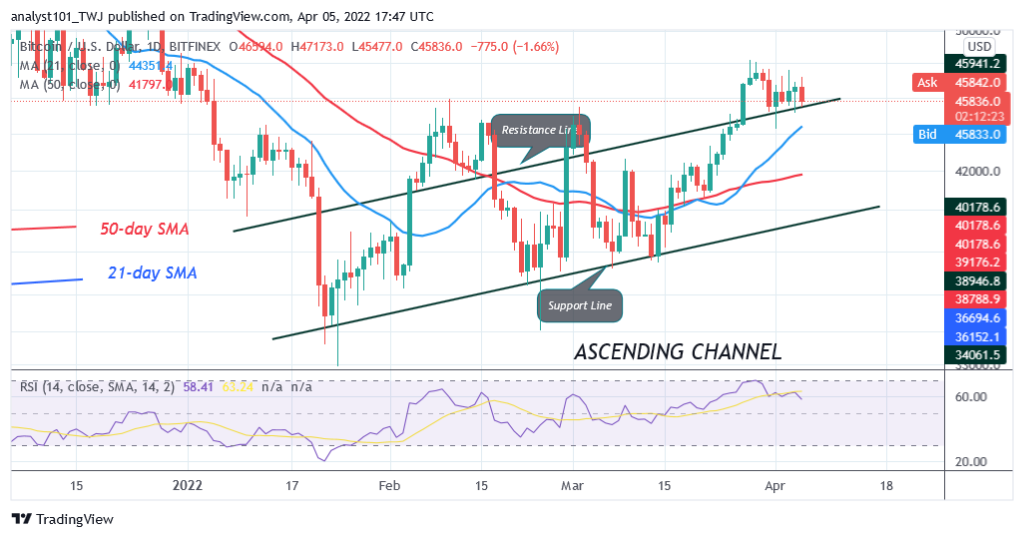 BTCUSDDaily-Chart-15