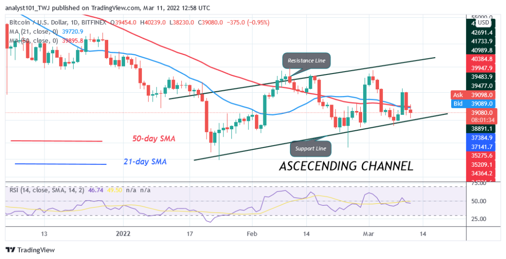 BTCUSDDaily-Chart-4-2