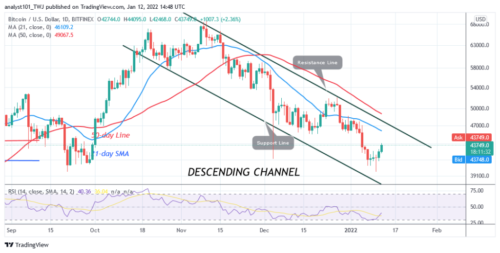 BTCUSDDaily-Chart-5