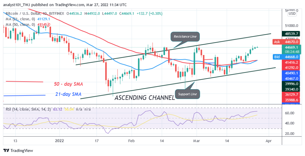 BTCUSDDaily-Chart-9-1