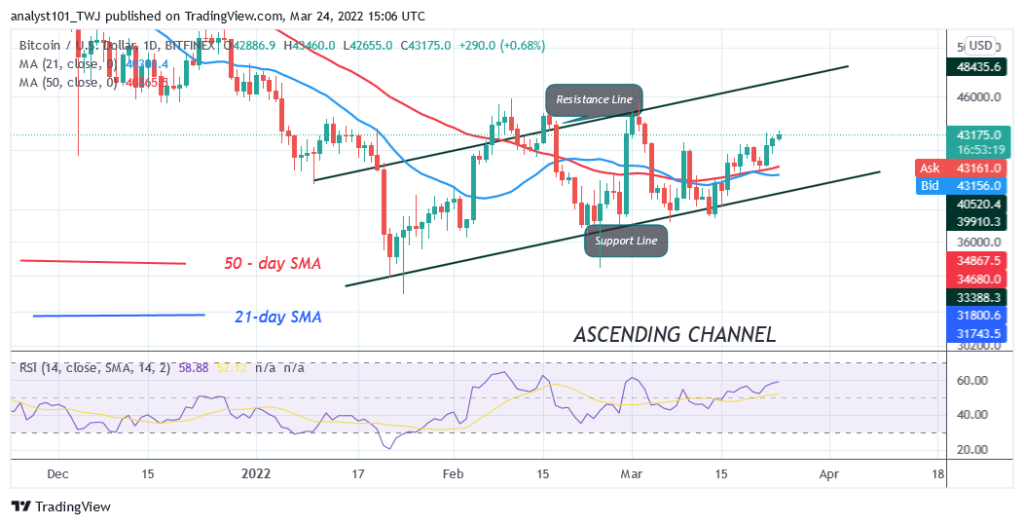 BTCUSDDaily-Chart-March-24