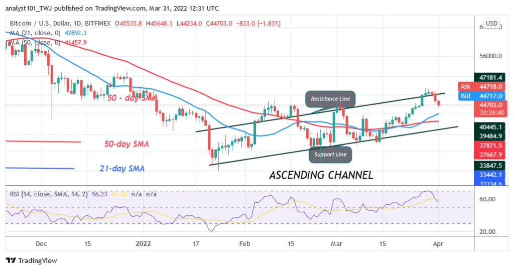 BTCUSDDaily-Chart-March-31