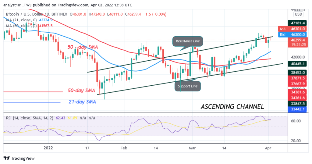 BTCUSDDily-Chart-