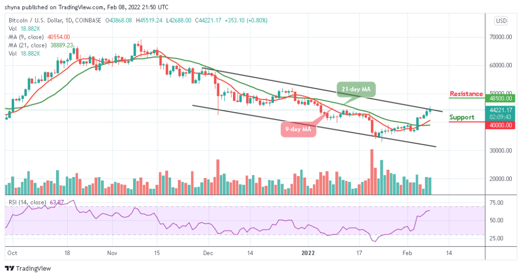 BTCUSD_1D_07022022_b