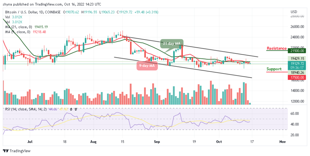 BTCUSD_1D_14102022