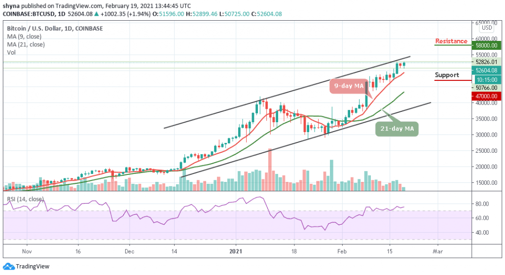 BTCUSD_1D_18022021