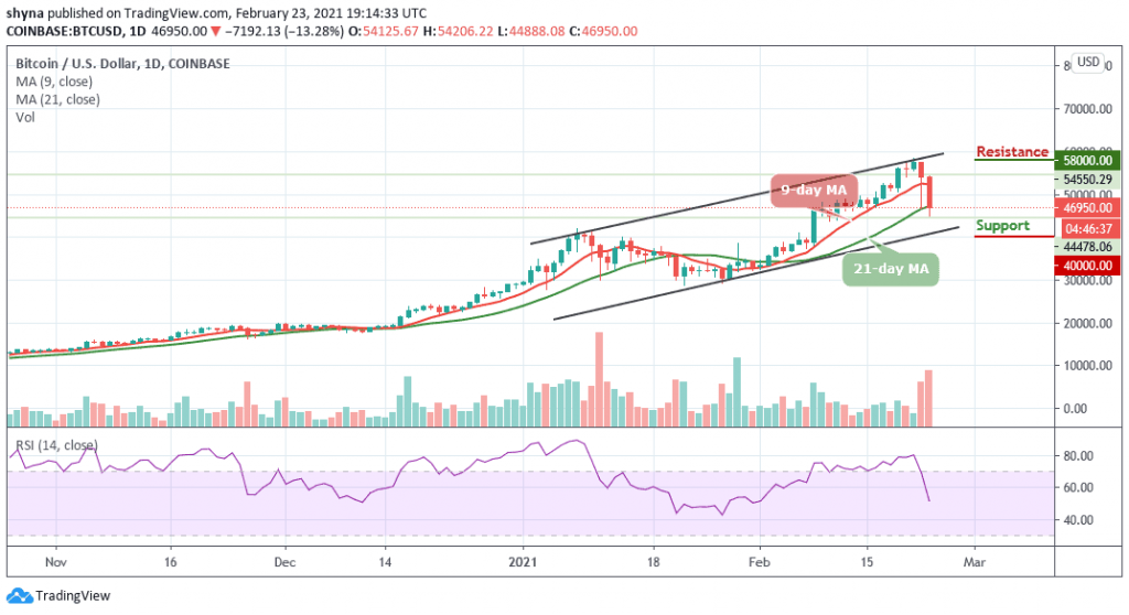 BTCUSD_1D_21022021