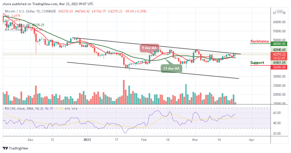 BTCUSD_1D_21032022_b