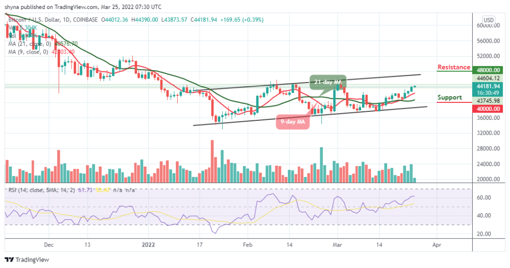 BTCUSD_1D_23032022_b