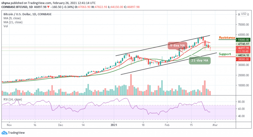 BTCUSD_1D_24022021