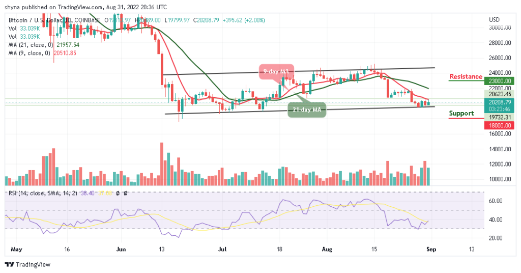 BTCUSD_1D_24082022