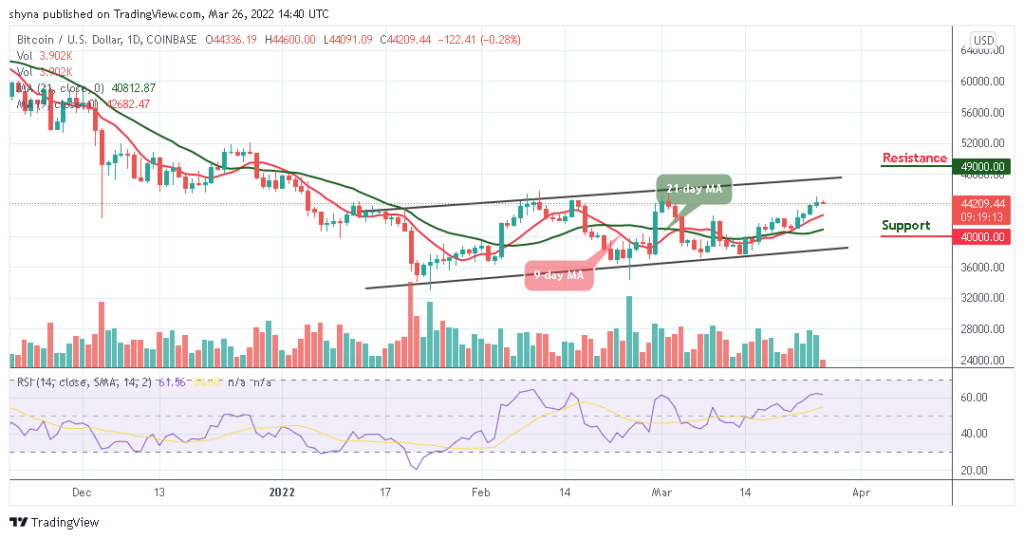 BTCUSD_1D_25032022_b