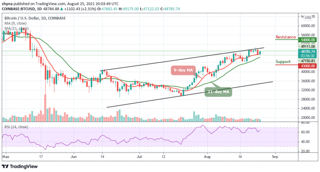 BTCUSD_1D_25082021_b