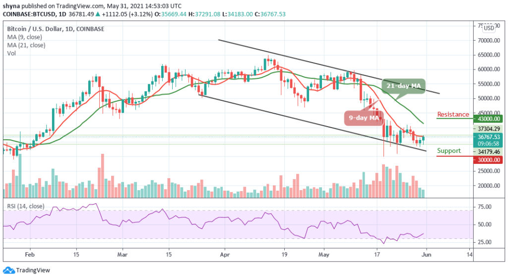 BTCUSD_1D_31052021