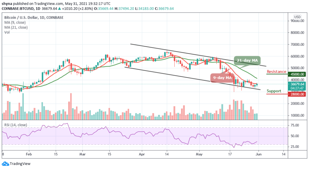 BTCUSD_1D_31052021_b