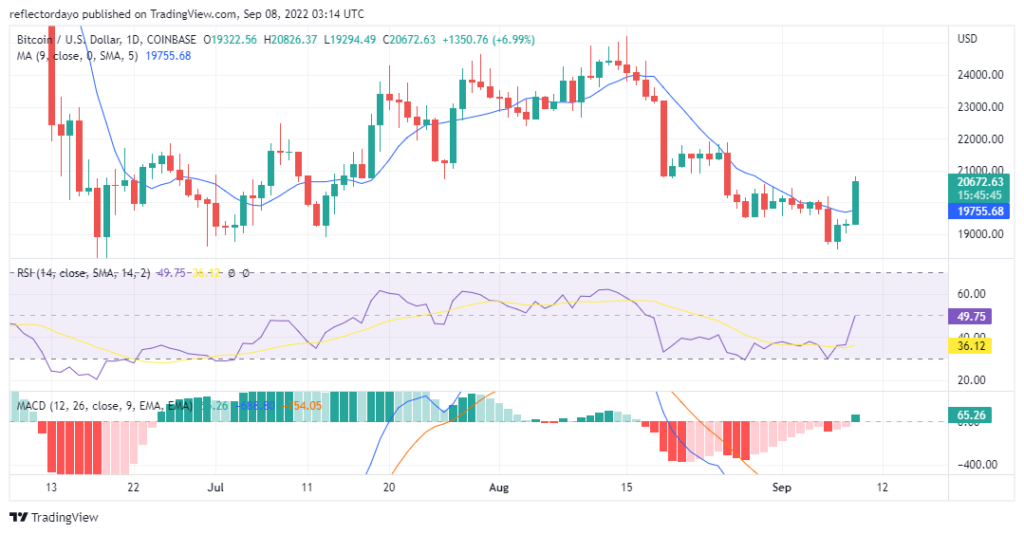 BTCUSD_2022-09-08_04-14-37