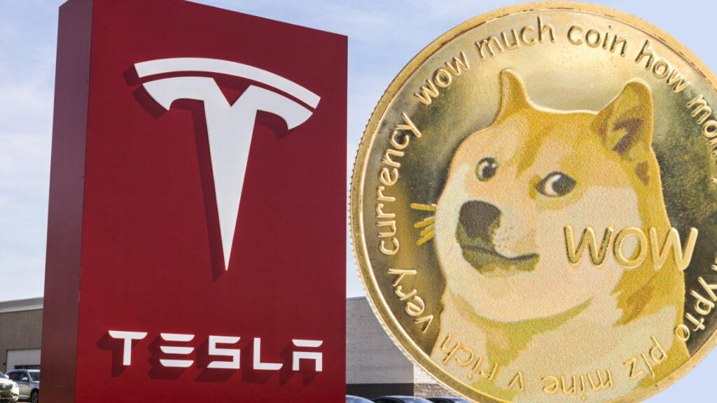 tesla-doge-banner